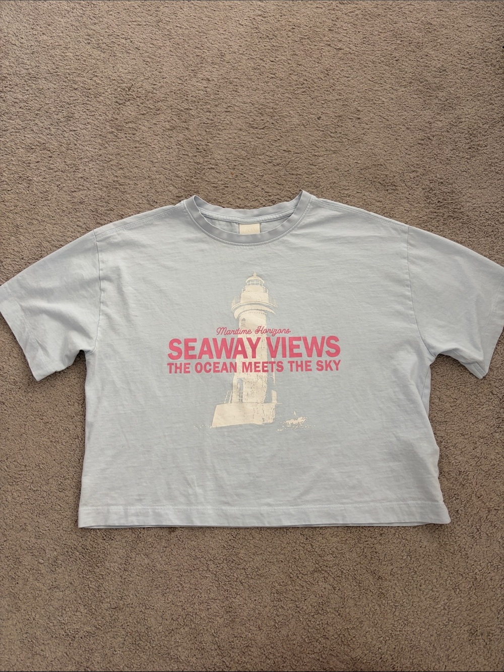 Zara Light Blue 'Seaway Views' Graphic Tee with Pink Print